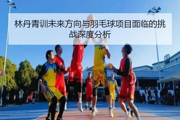 林丹青训未来方向与羽毛球项目面临的挑战深度分析