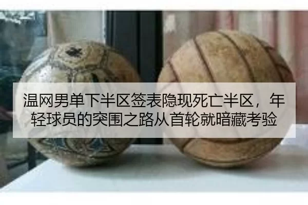 温网男单下半区签表隐现死亡半区，年轻球员的突围之路从首轮就暗藏考验
